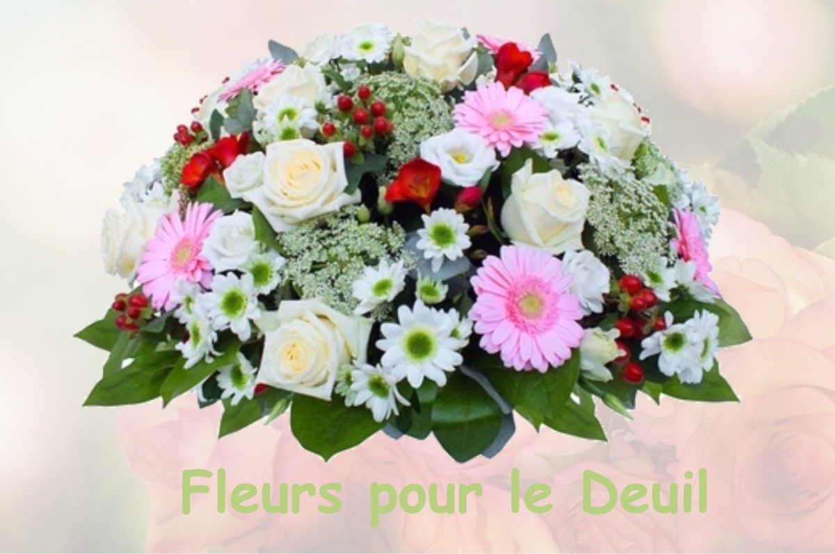 fleurs deuil LE-MEE-SUR-SEINE